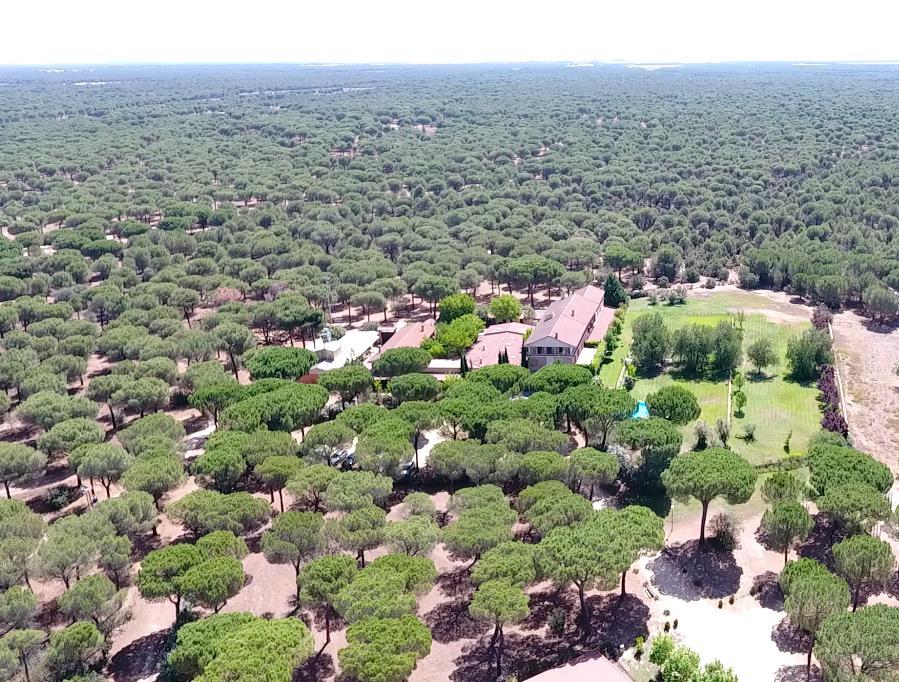 Posada Real Del Pinar Pozal de Gallinas Dış mekan fotoğraf